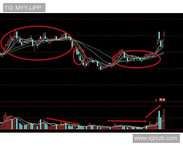 成都与杭州篮球队赛后复盘分析灵活性对比赛结果的影响与启示
